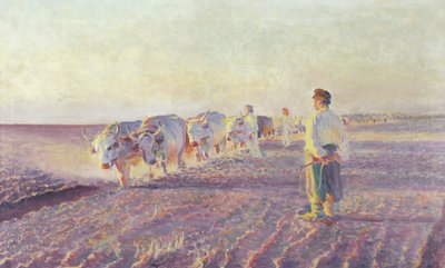 Pflügen in der Ukraine, 1892 von Leon Wyczolkowski